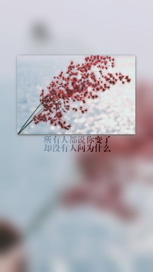 所有人都说你变了,却没有人问为什么 .