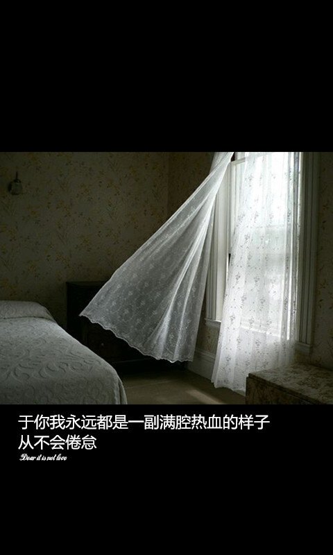 yulia原创文字壁纸#qq:1604658856#iphone#安卓#锁屏#桌面#皮肤