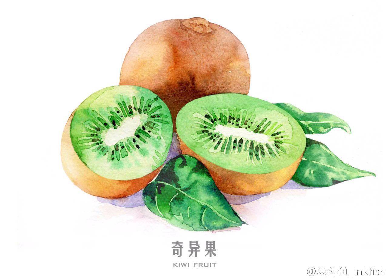 水彩#奇异果