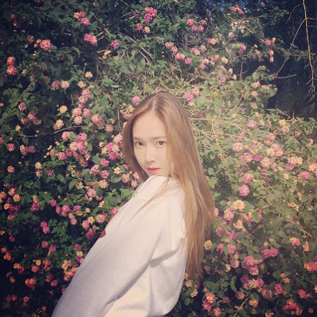 jessica 郑秀妍 头像 女神 毛毛 ins更新