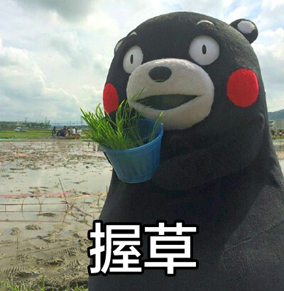 熊本 握草 表情包