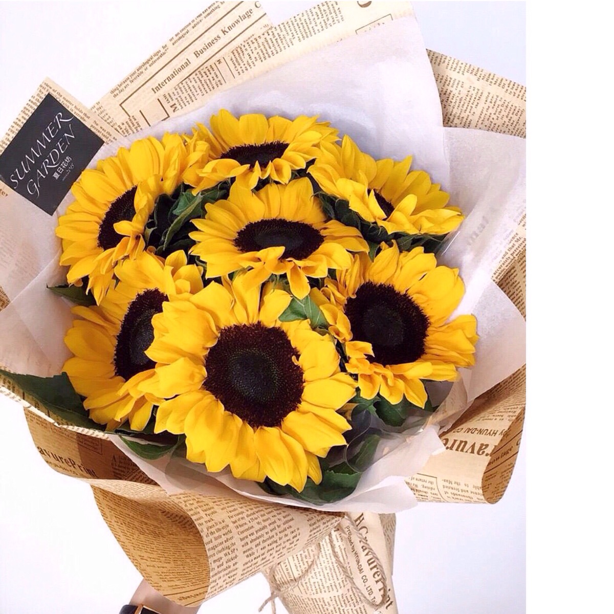 【向日葵】(英文:sunflower,学名:helianthus annus)花语为"沉默的爱