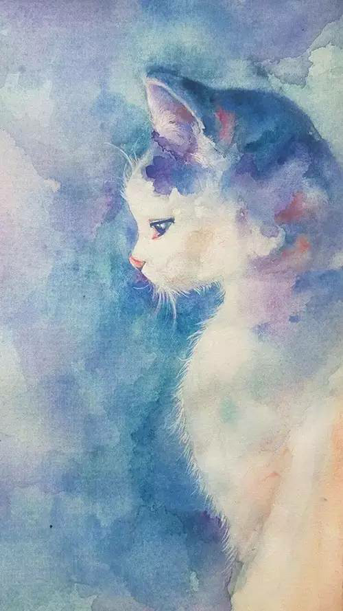 猫咪～渲染手绘壁纸
