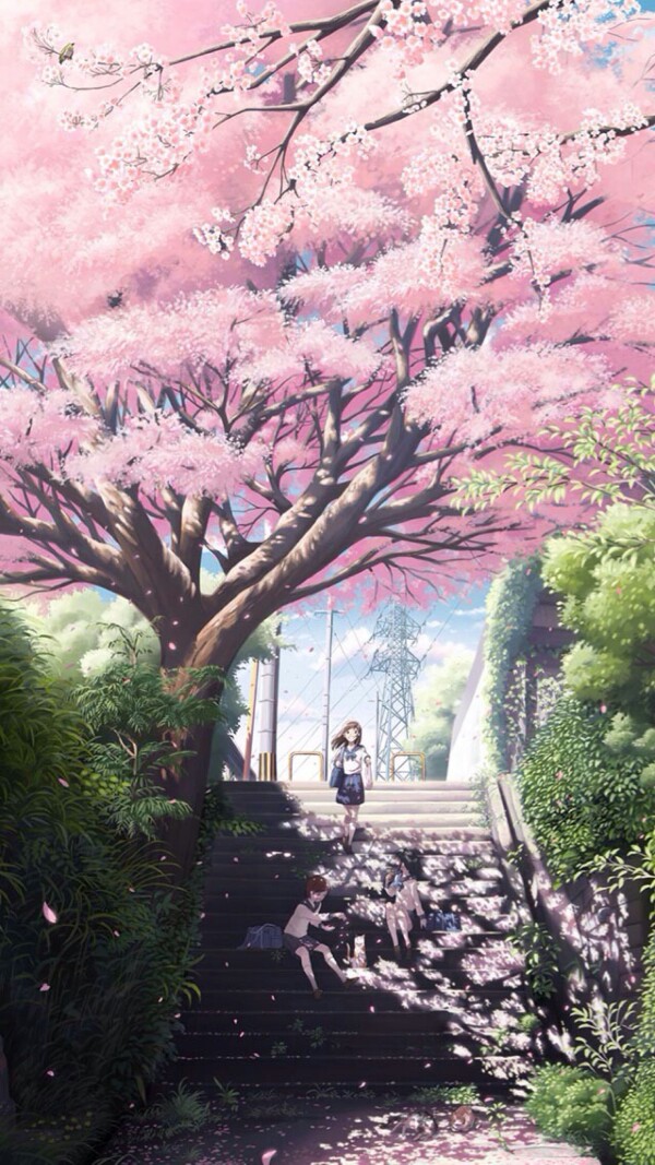 樱花树下