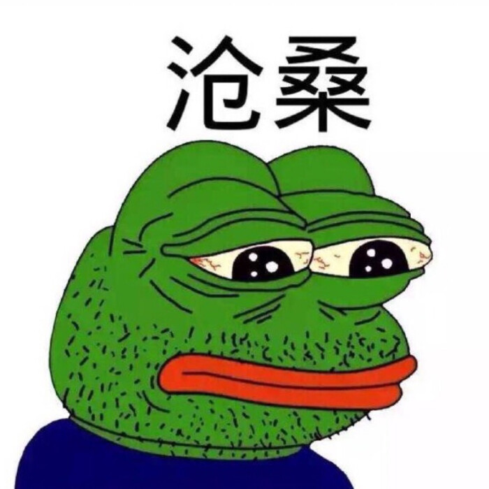 sad frog 聊天表情包 贱表情