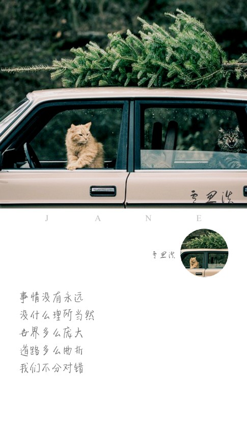文字/句子/暖心/壁纸/名片/签名/心情/治愈系/侵删/半卷情话 一世天涯
