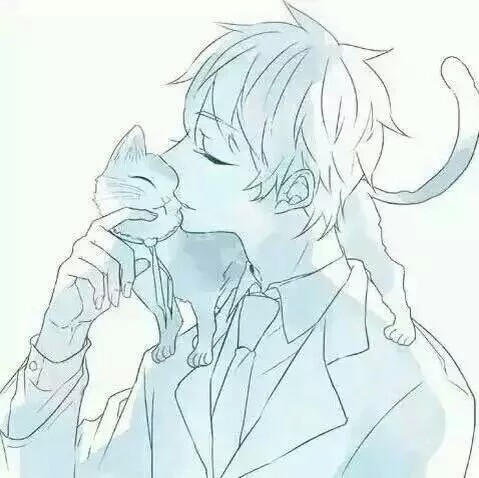 男头 帅气 可爱 猫 动漫