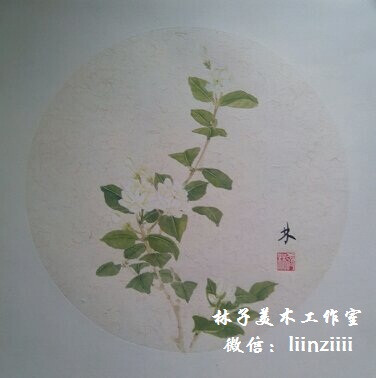 国画,工笔,茉莉花