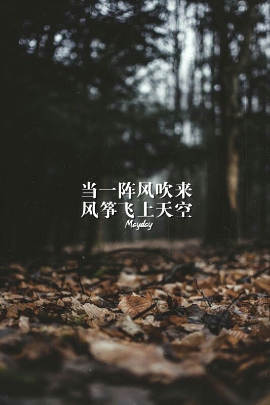 总是不能懂 不能觉得足够 知足 五月天 may day 歌词 文字 壁纸 图片