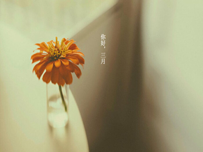 hello,march.你好,三月.壁纸 插画 素材 唯美 拍摄 文字