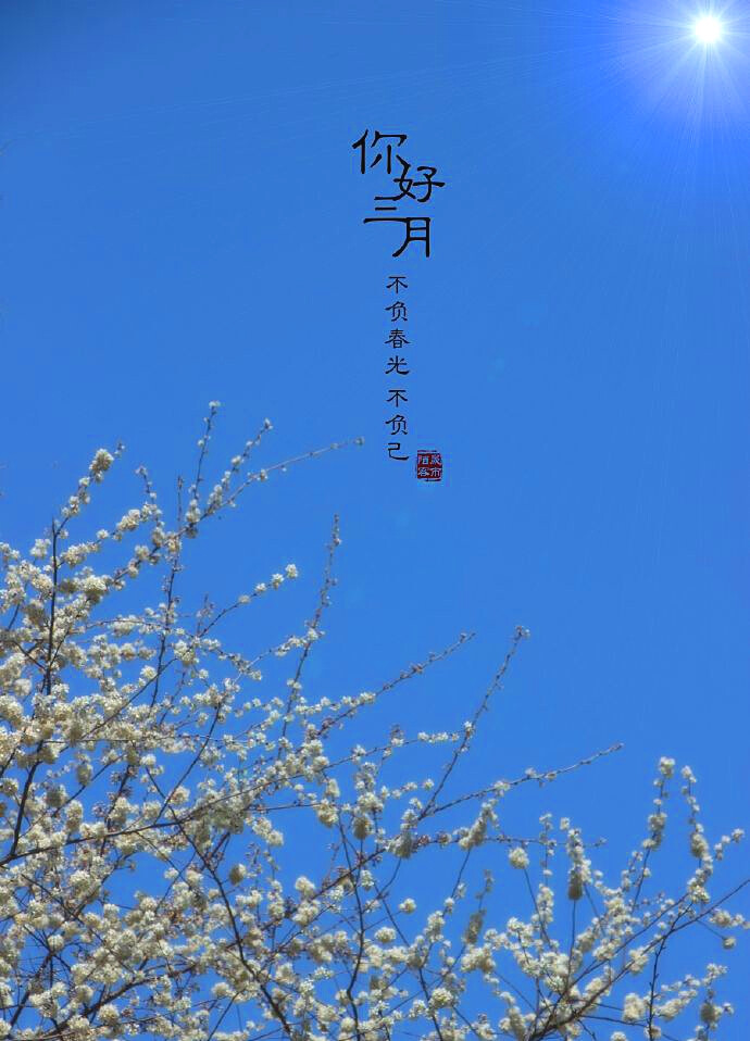 hello,march.你好,三月.壁纸 插画 素材 唯美 拍摄 文字