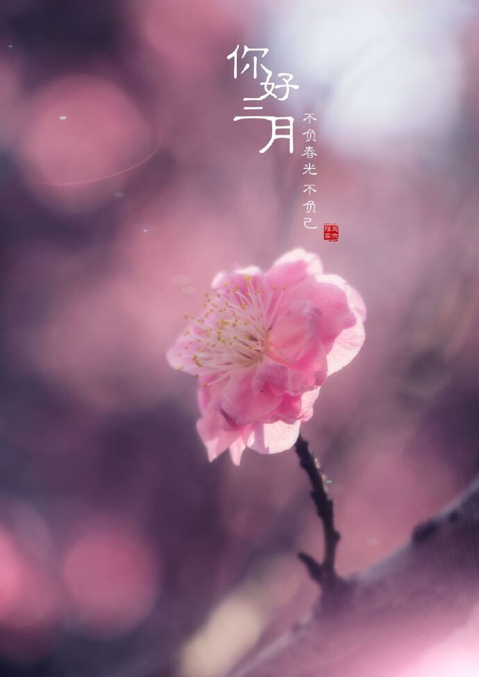 hello,march.你好,三月.壁纸 插画 素材 唯美 拍摄 文字