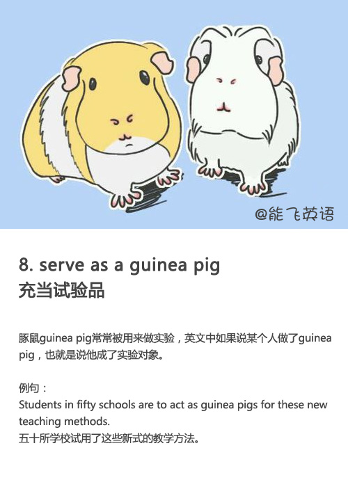 【动物英语习语】serve as a guinea pig 充当试验品