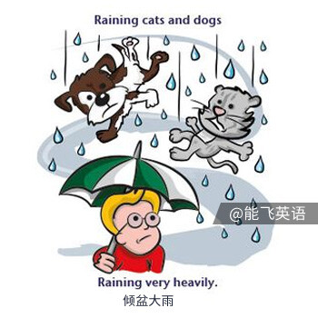 the weather 关于天气的英语习语】raining cats and dogs 倾盆大雨