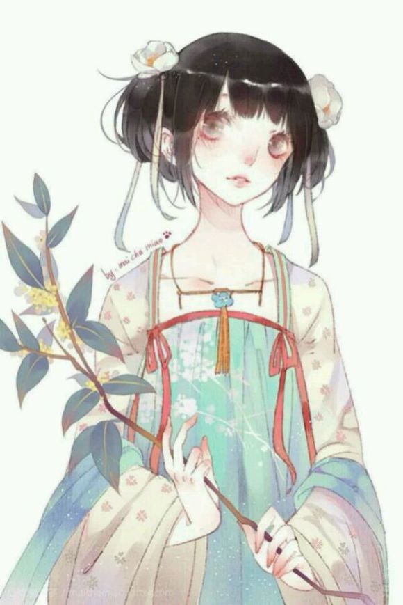宫装二次元少女,执花女子