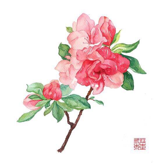 古风 古代 花 插花 红色 头像