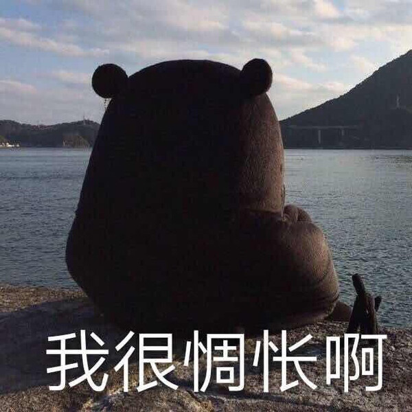 我很惆怅啊