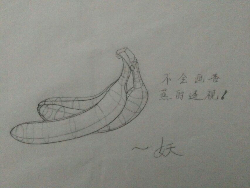 以线造型基础练习画 速写