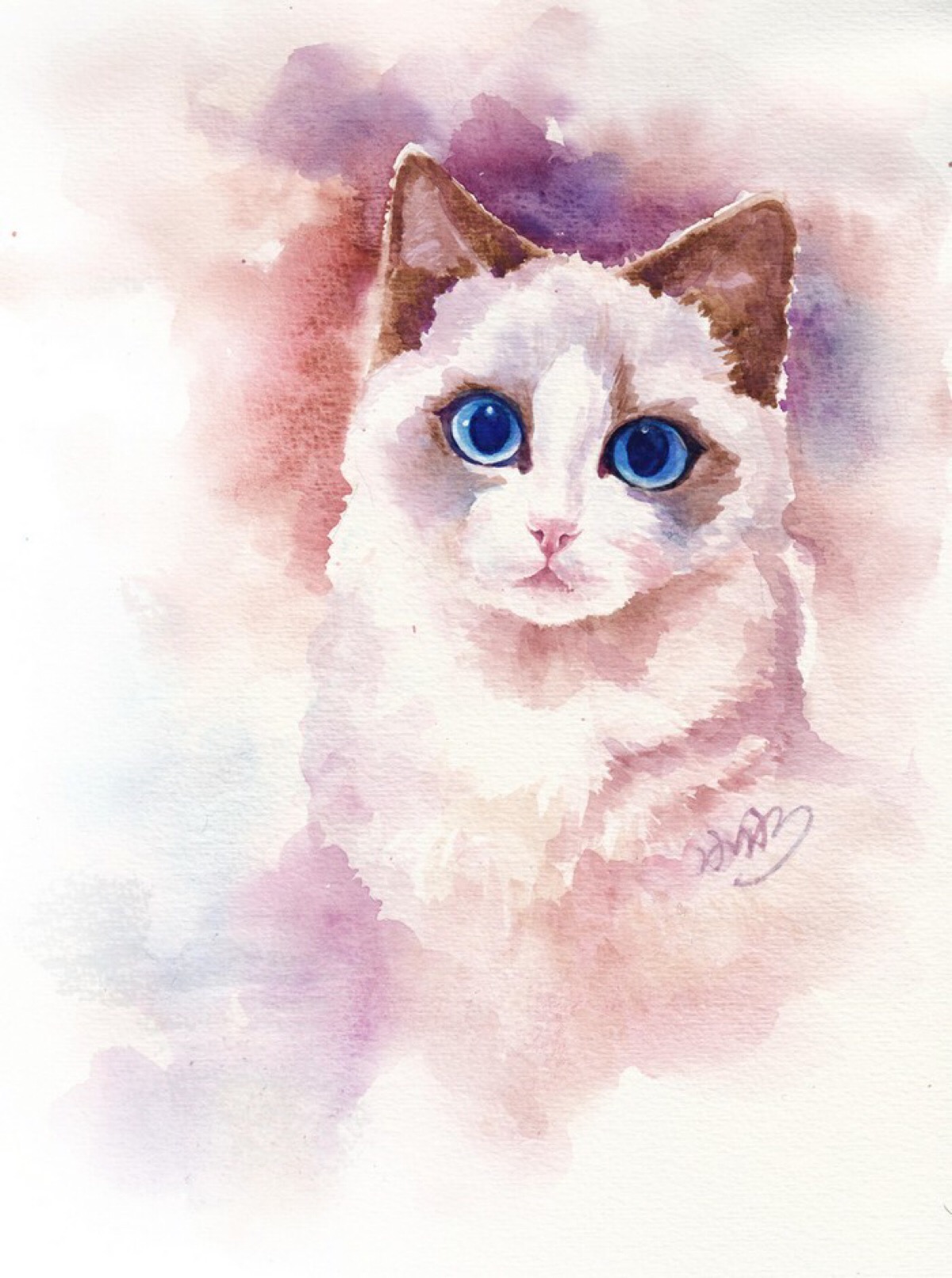 眼睛超美的猫咪手绘插画作品.