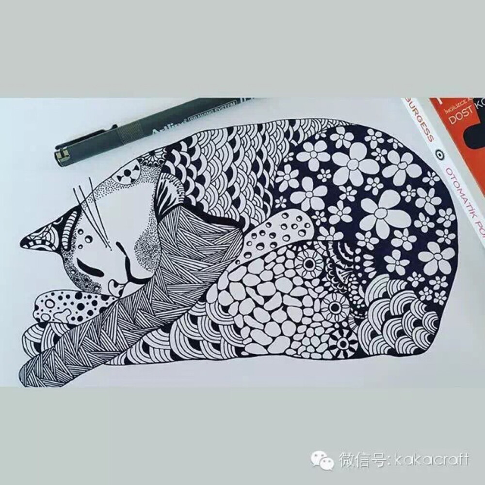 禅绕画爱好者的作品 自用