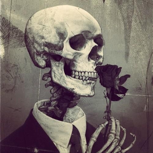 死亡玫瑰骷--骷髅玫瑰