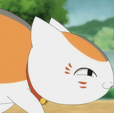 猫咪老师头像集