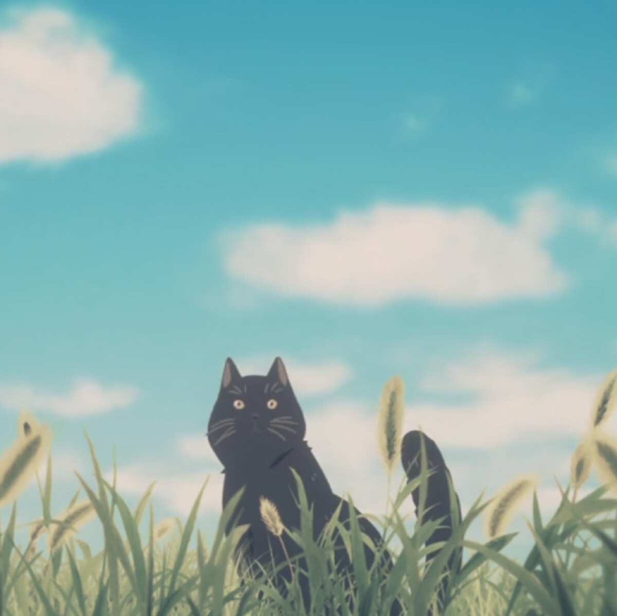 她与她的猫 动漫 头像 黑猫 治愈系 萌 短发 少女