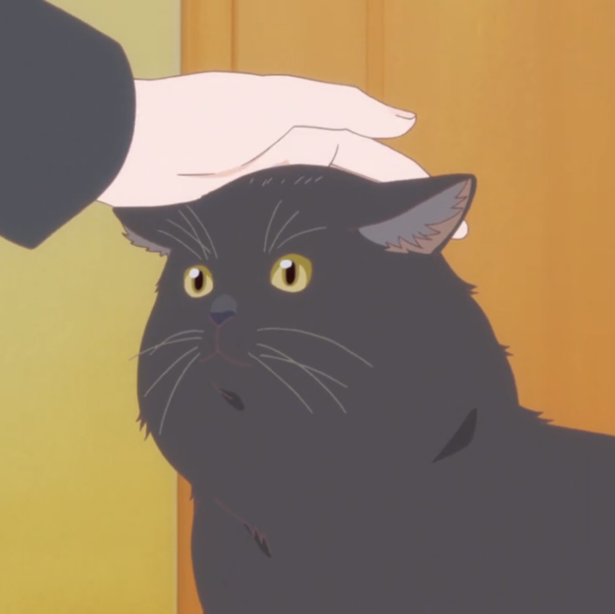 她与她的猫 动漫 头像 黑猫 治愈系 萌 短发 少女