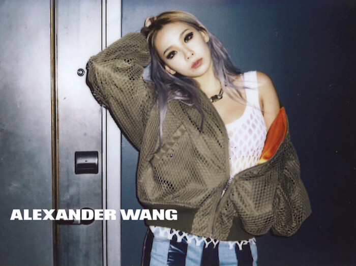 李彩琳 cl 2ne1 alexander wang