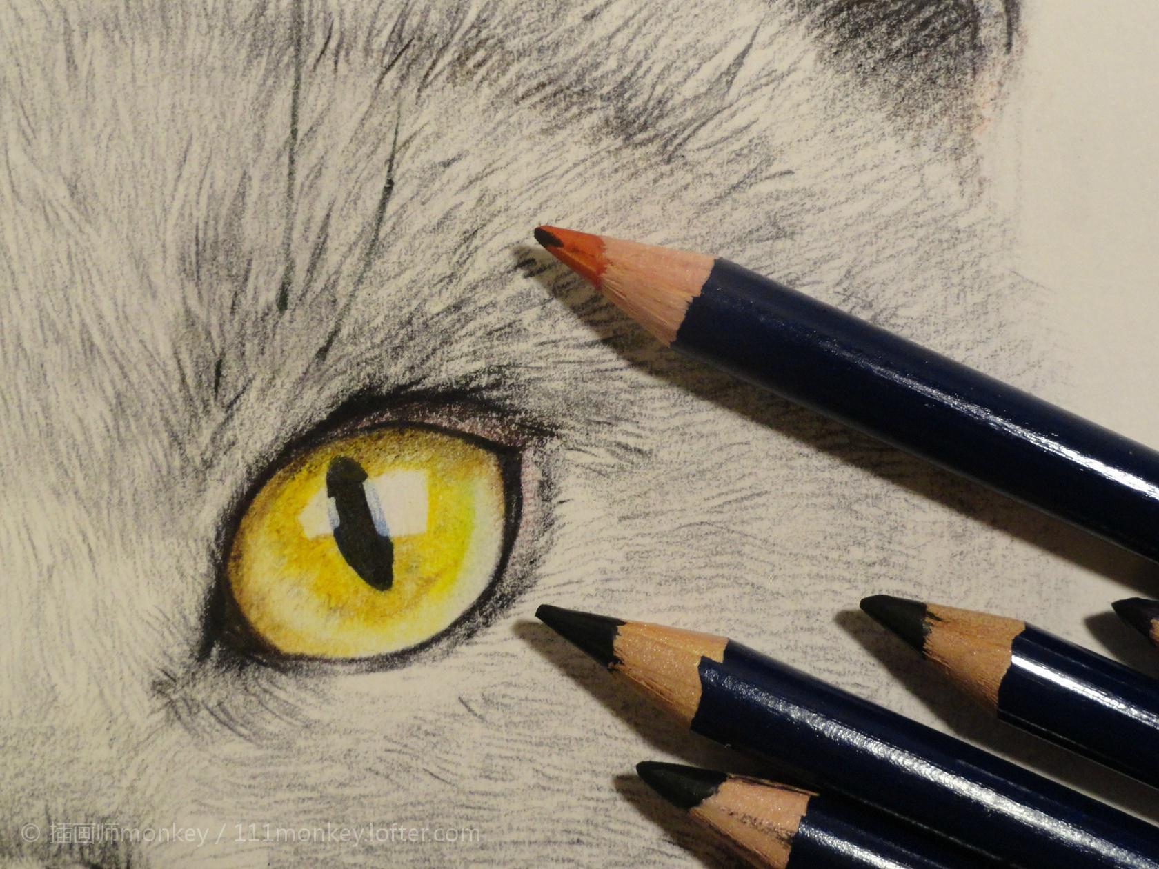 猫咪眼睛手绘