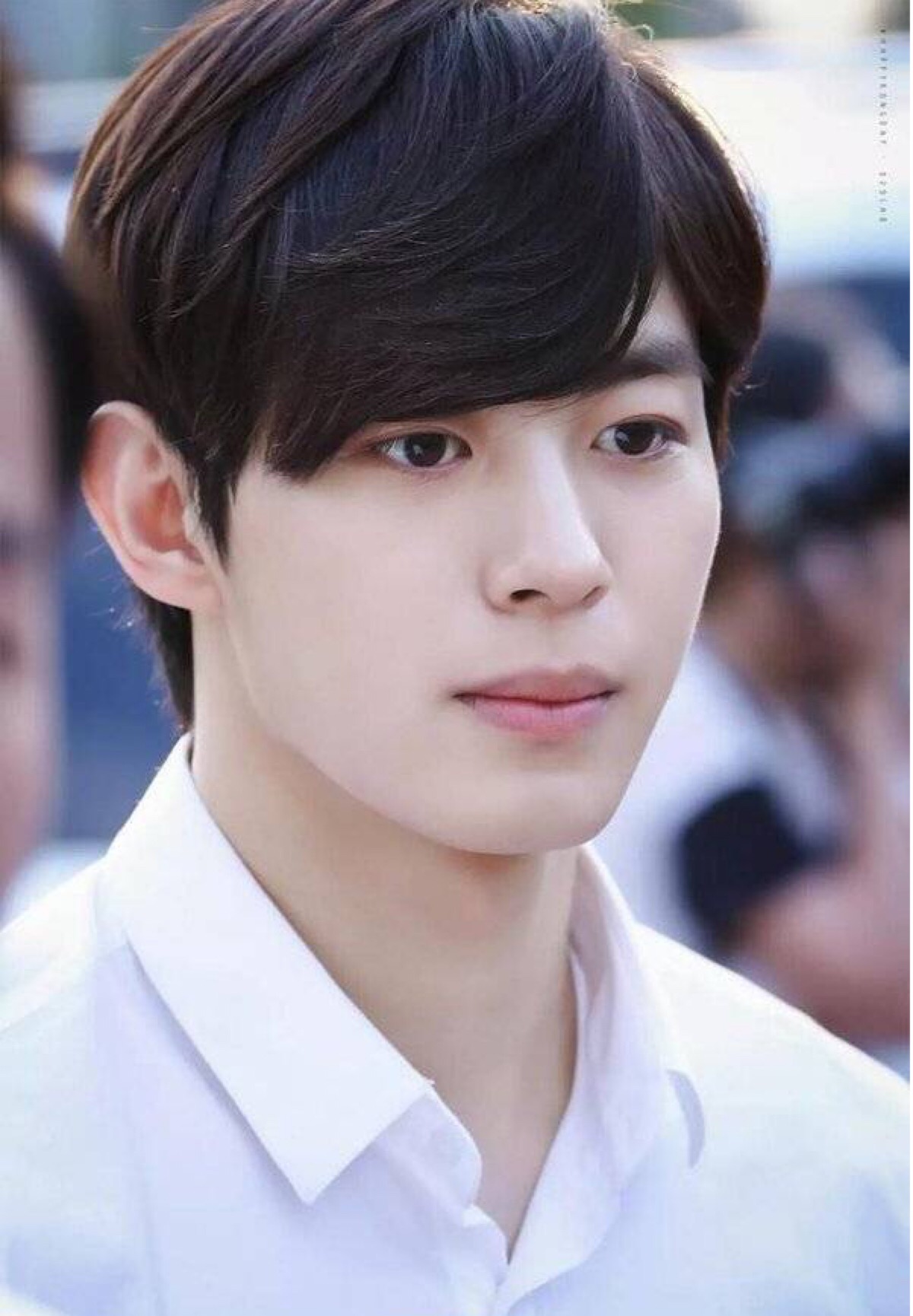 vixx 李弘彬 lee hong bin