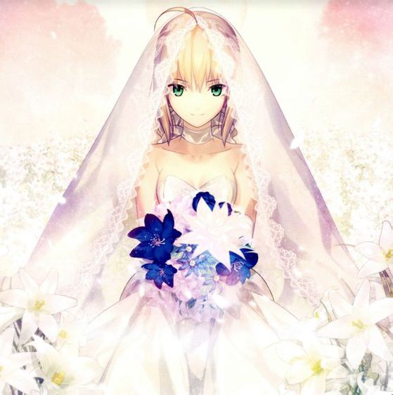 fatesaber 花嫁,fatesaber 1080 fate saber花嫁