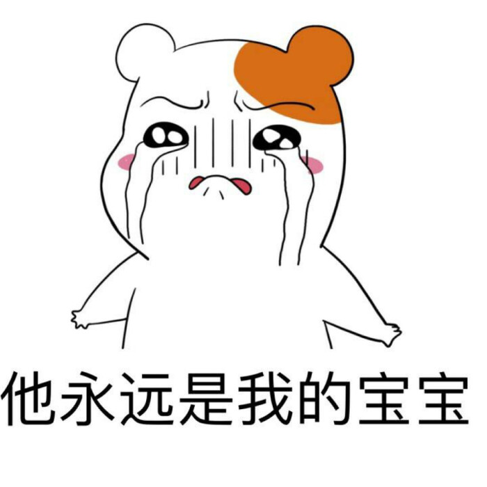 他永远是我的宝宝 表情包