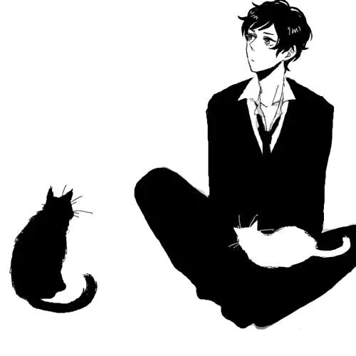 二次元男头 猫