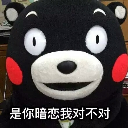 你暗恋我对不对