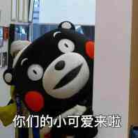 你们的小可爱上线了