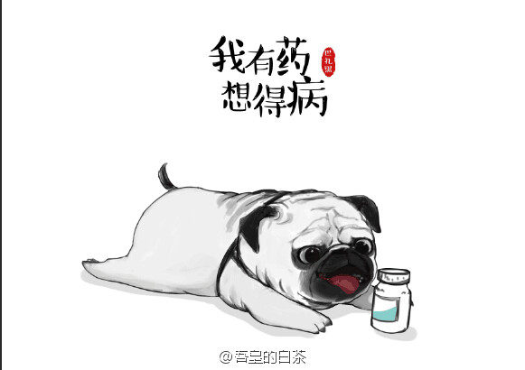 吾皇的白茶