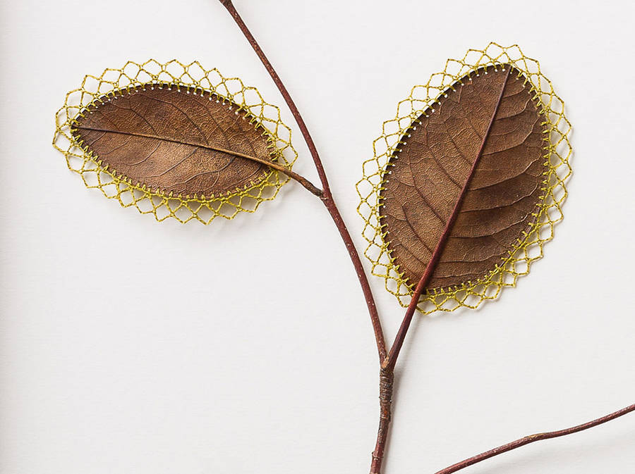 编织树叶】susanna bauer 是一位德国艺术家,在自己的收集到的叶子上