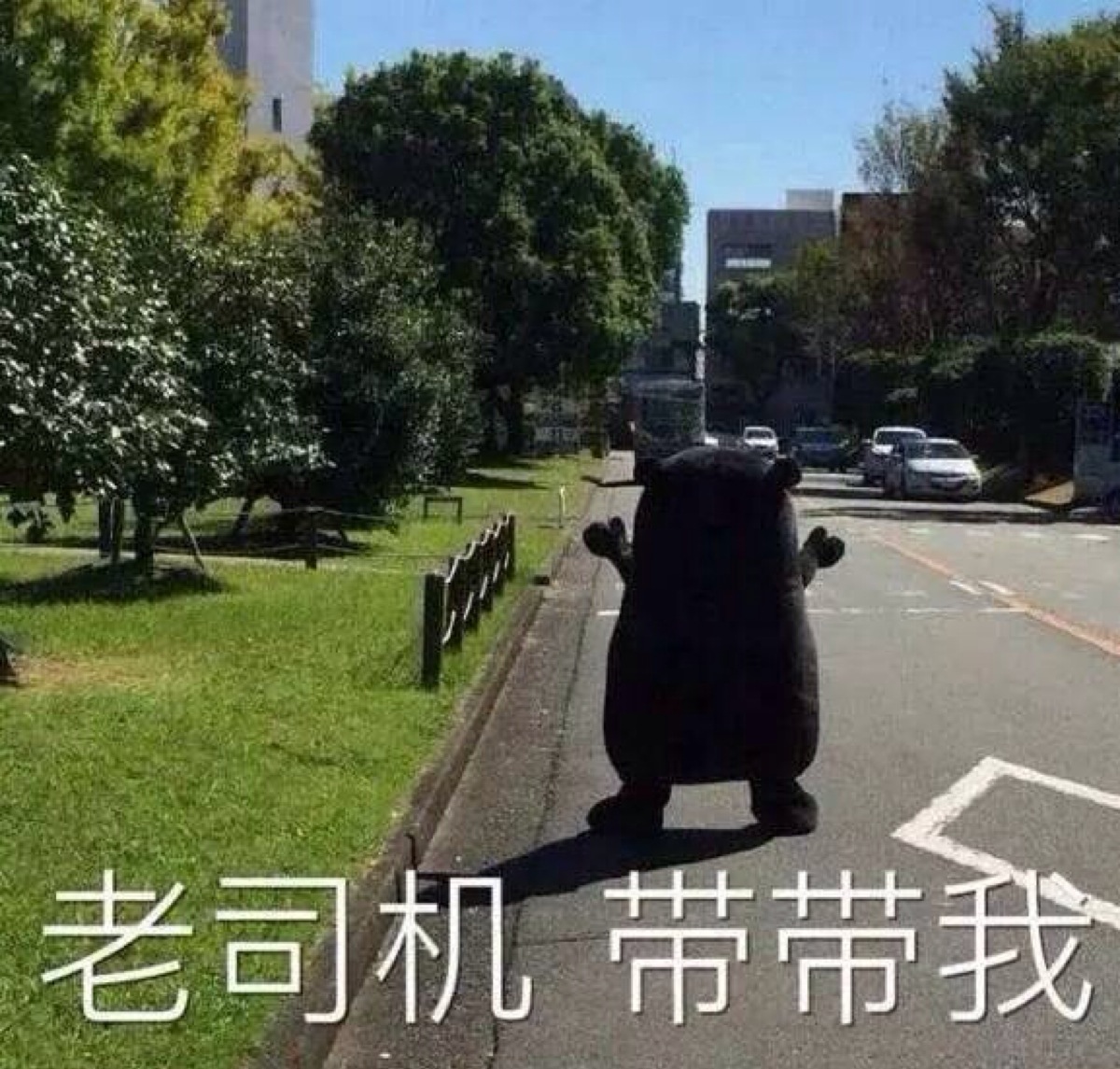 kumamon 部长 熊本熊表情包 老司机带带我