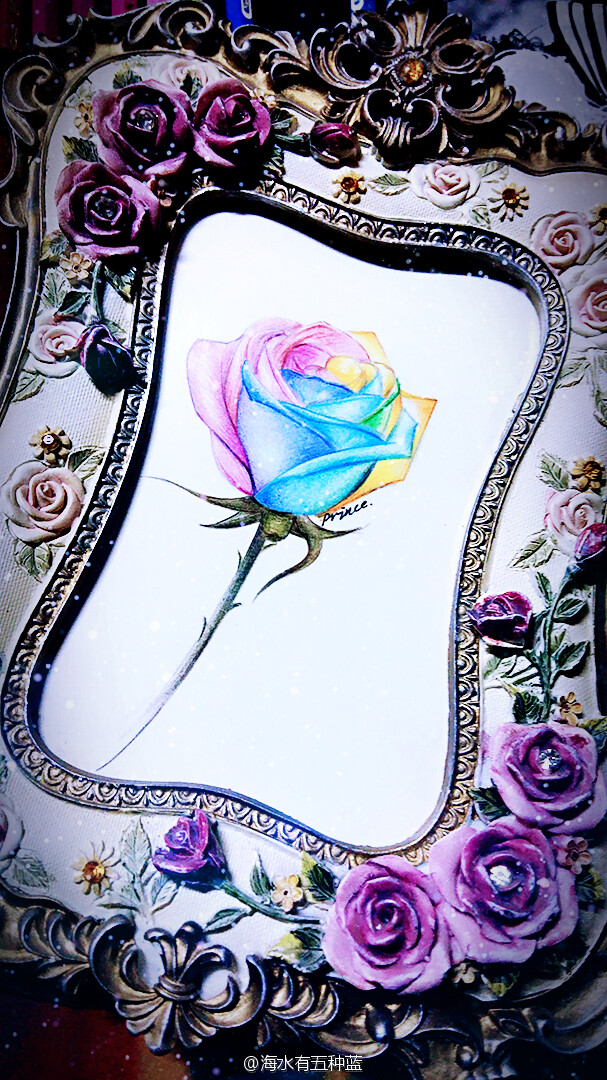 彩虹玫瑰花儿 彩铅 手绘 插画