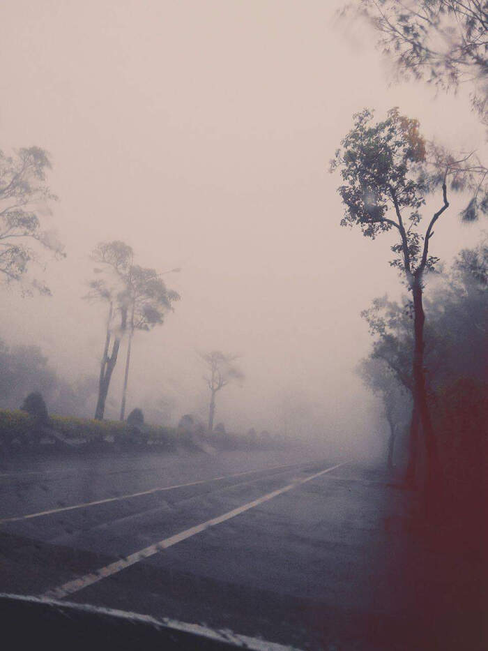 迷雾.下雨.雨天.街道.树.唯美.路.