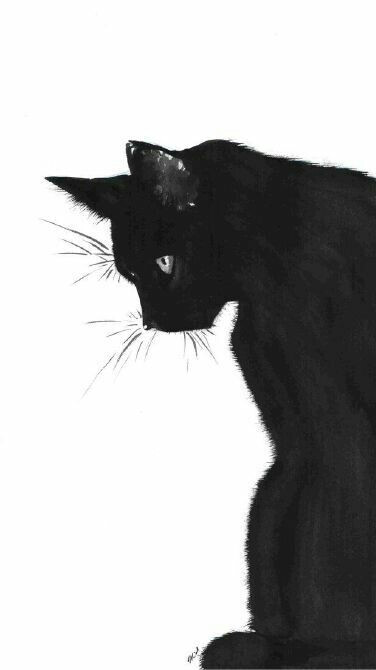 收集   点赞  评论  猫咪 白猫 黑猫 卡通 动漫 iphone 壁纸 0 766