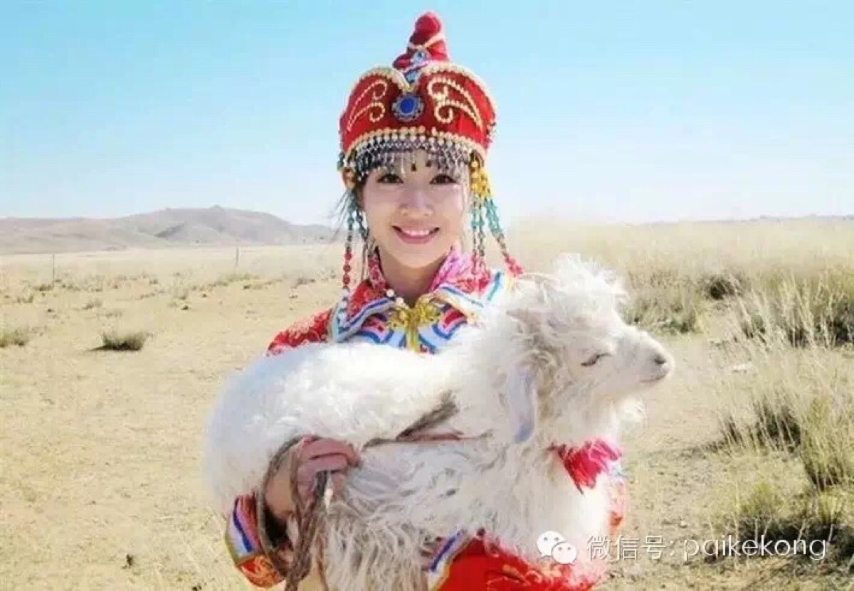蒙古族新娘才是最美的(4)