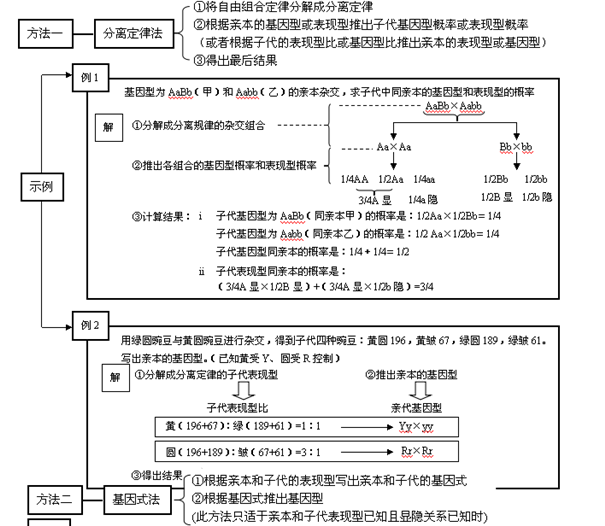 分离定律法示例