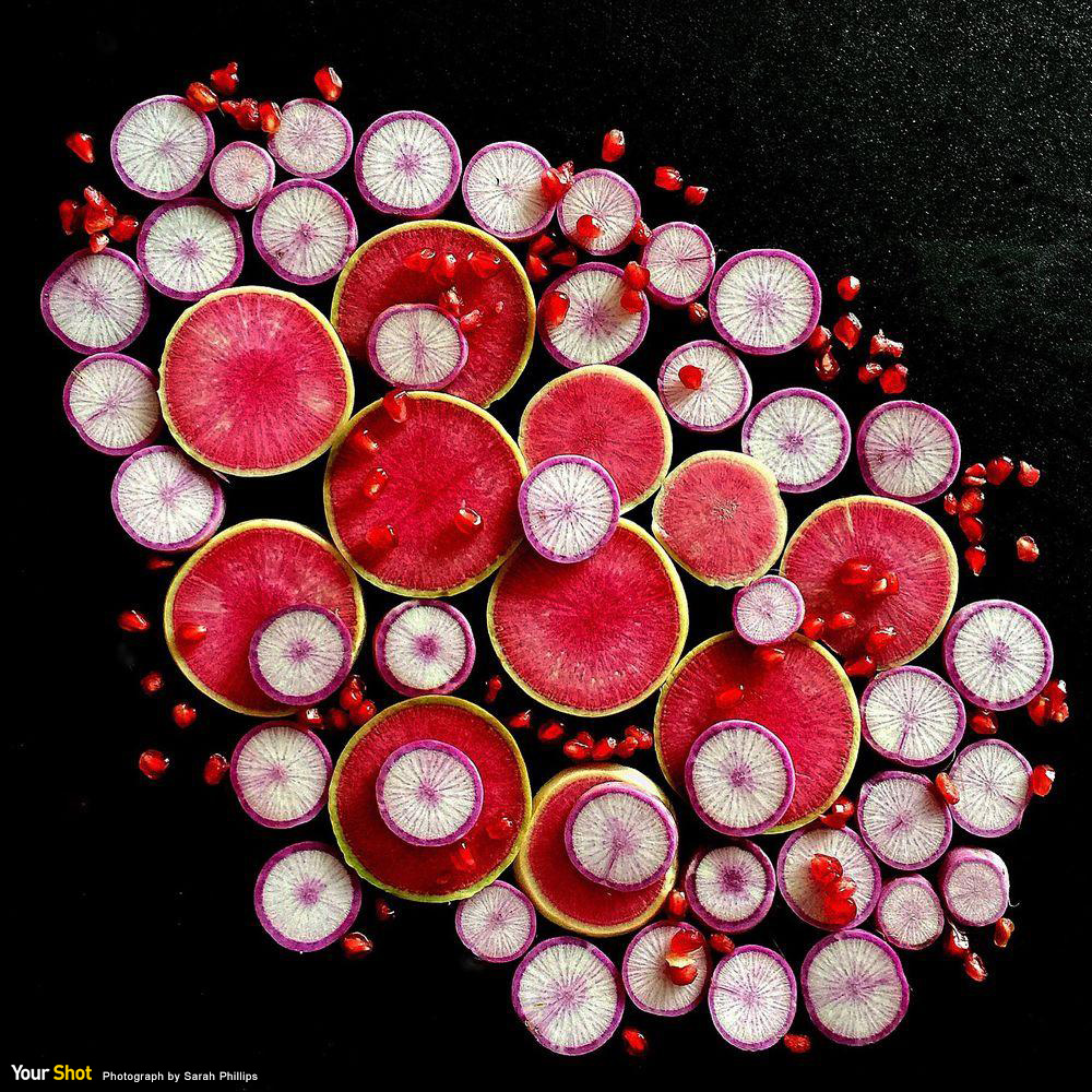 食物拼图