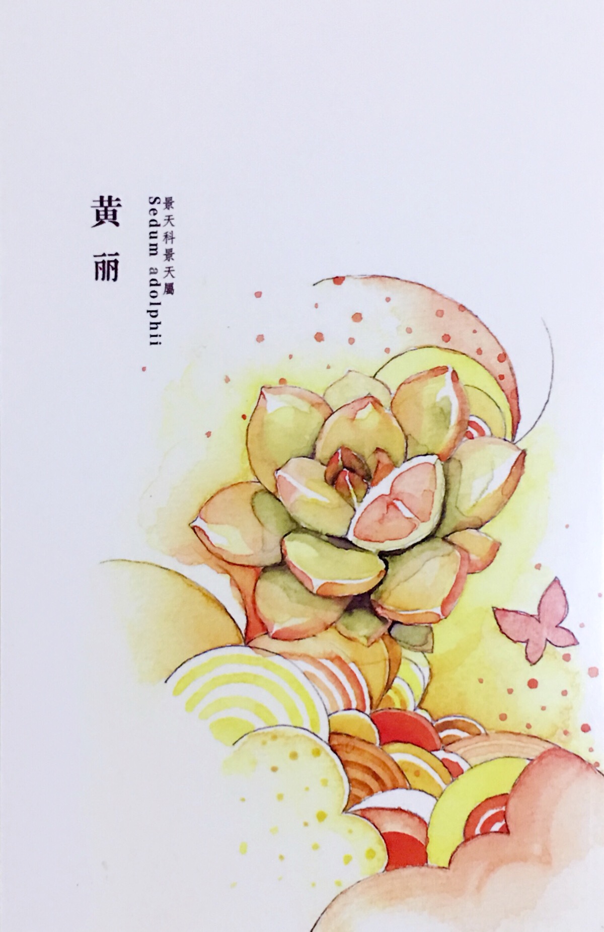 多肉植物61水彩