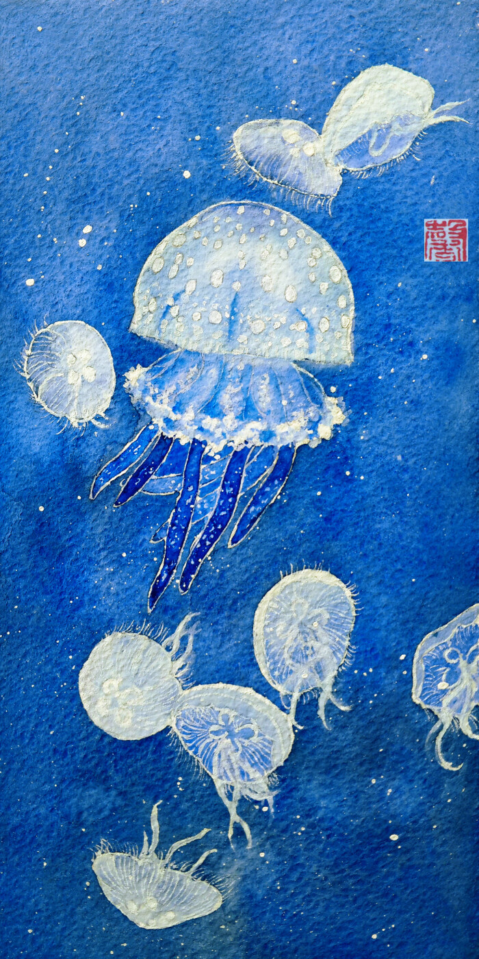 水母,蓝色系列(作者,星星星你妹)