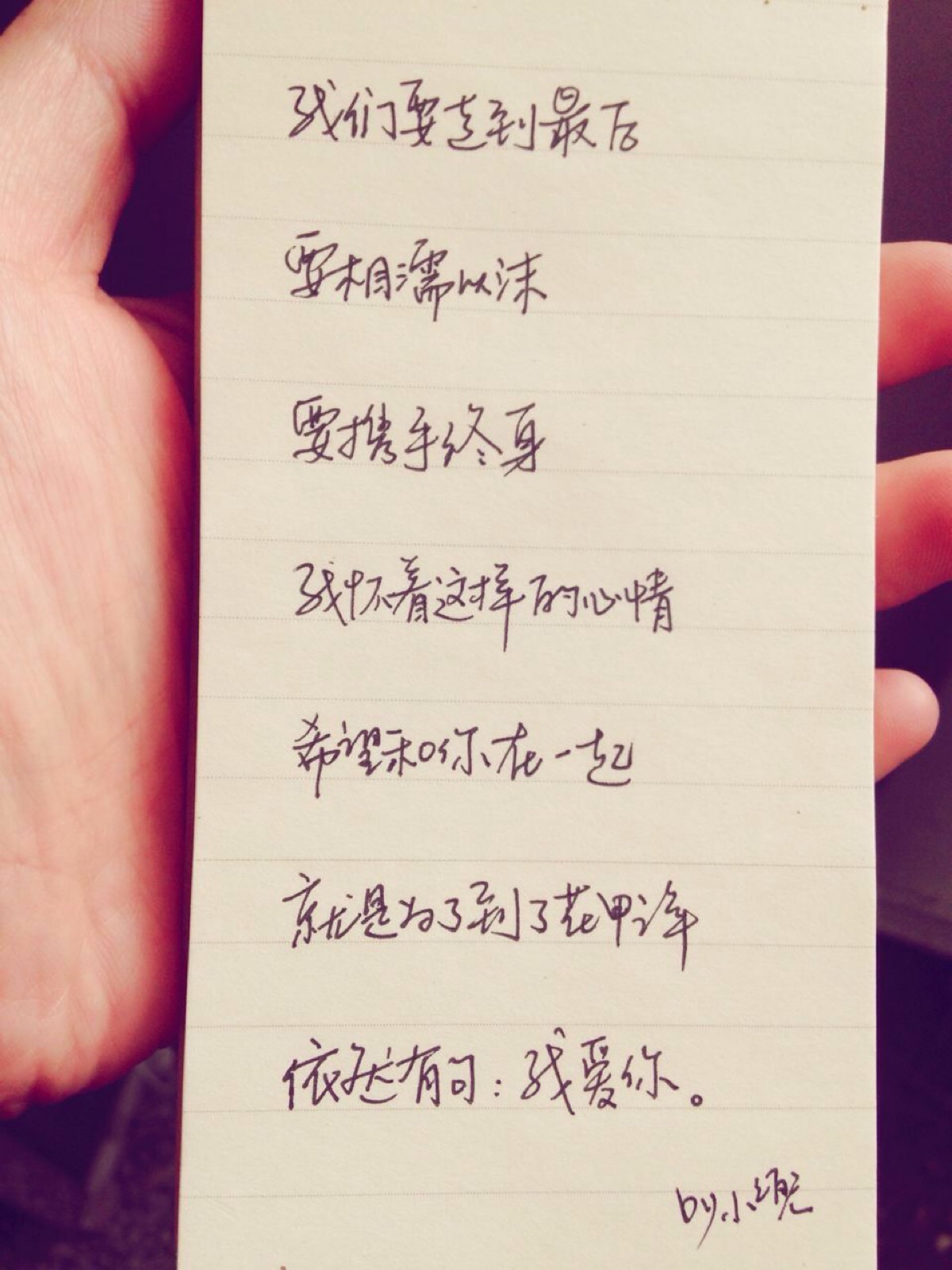 【手写 情书】我们要走到最后,要相濡以沫,要携手终身,我怀着这样的