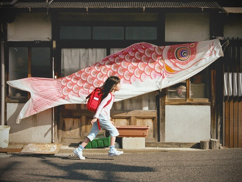 日式 和风 鲤鱼旗 旗帜 夏天 小清新 清风 盛夏 日本 鲤帜/こいのぼり