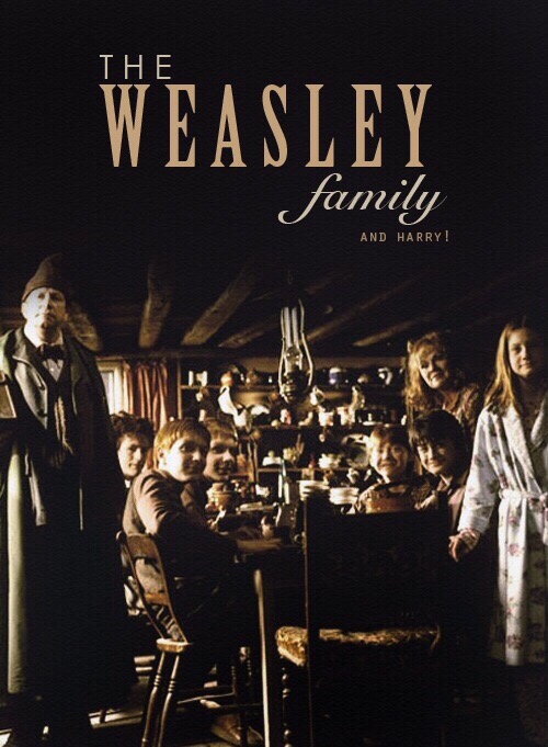 the weasley family